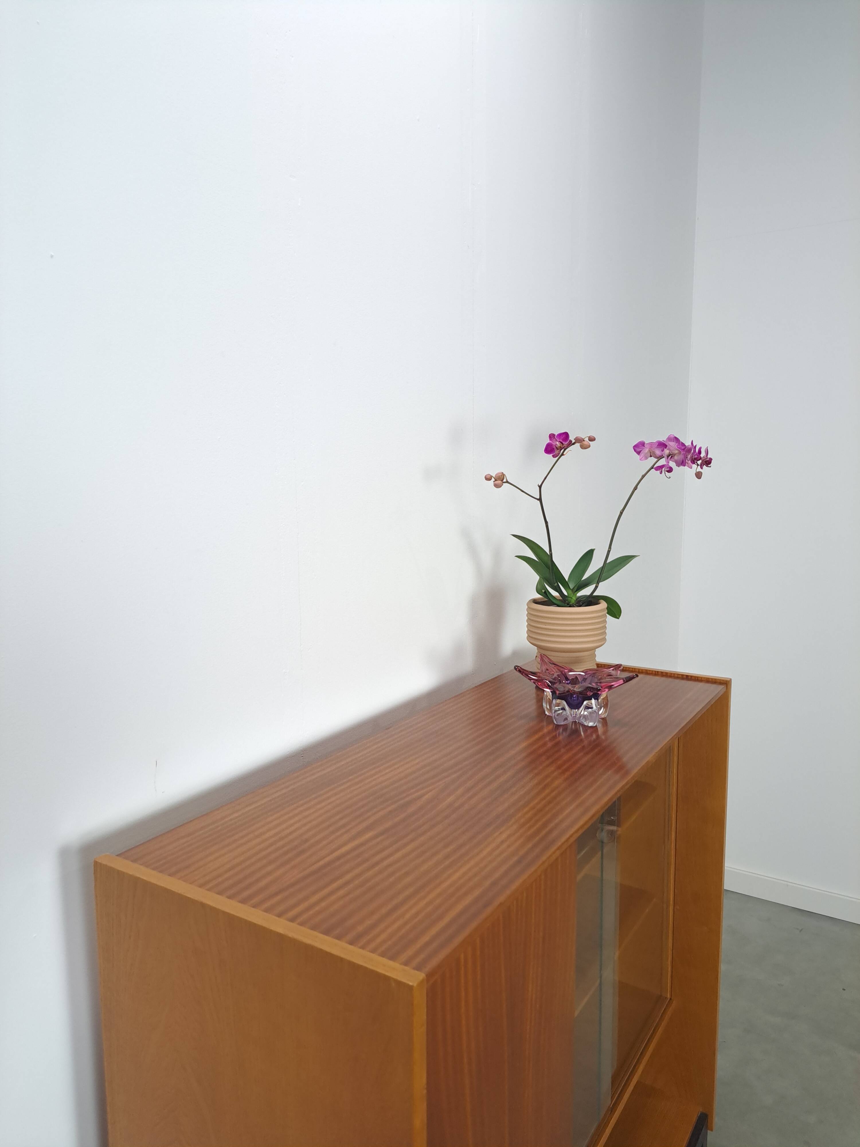 Design Mezulanik showcase with shelves