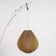 Small adjustable floor lamp, Rhodoid lampshade, 1950