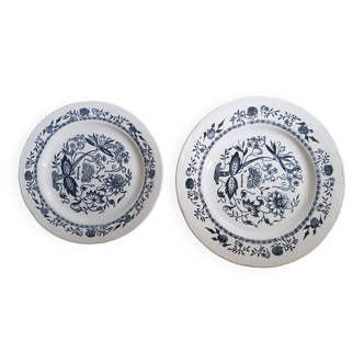 Lot de 2 assiettes