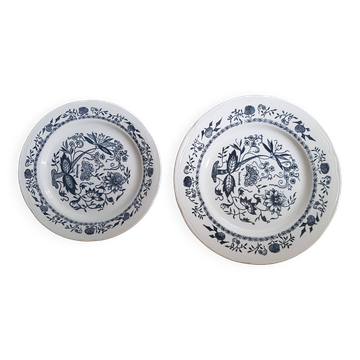 Lot de 2 assiettes