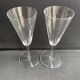 2 Flûtes Baccarat Perfection