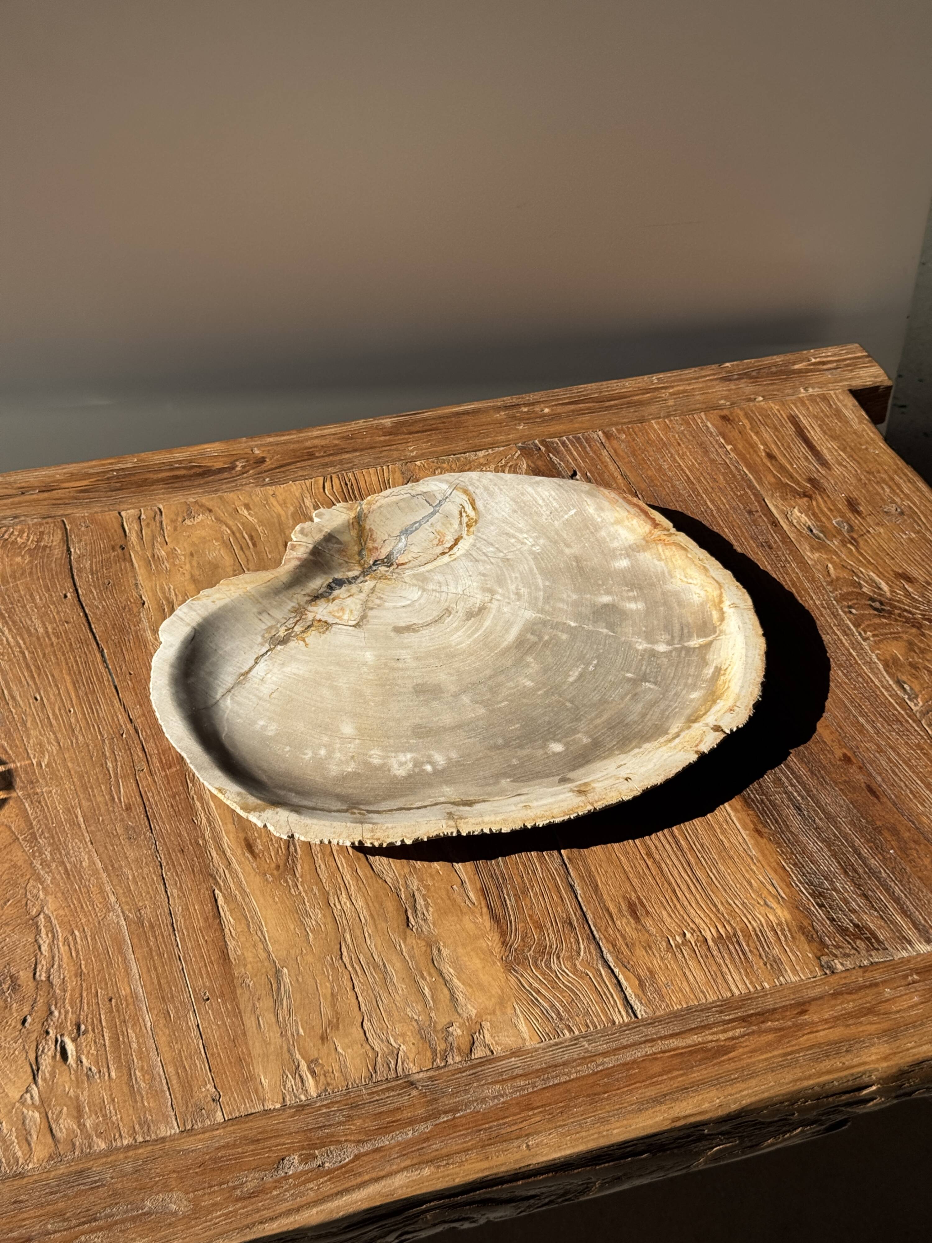 Very large pocket tray or dish in beige petrified wood D35