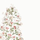 Botanical poster on horse chestnut, after an old engraving