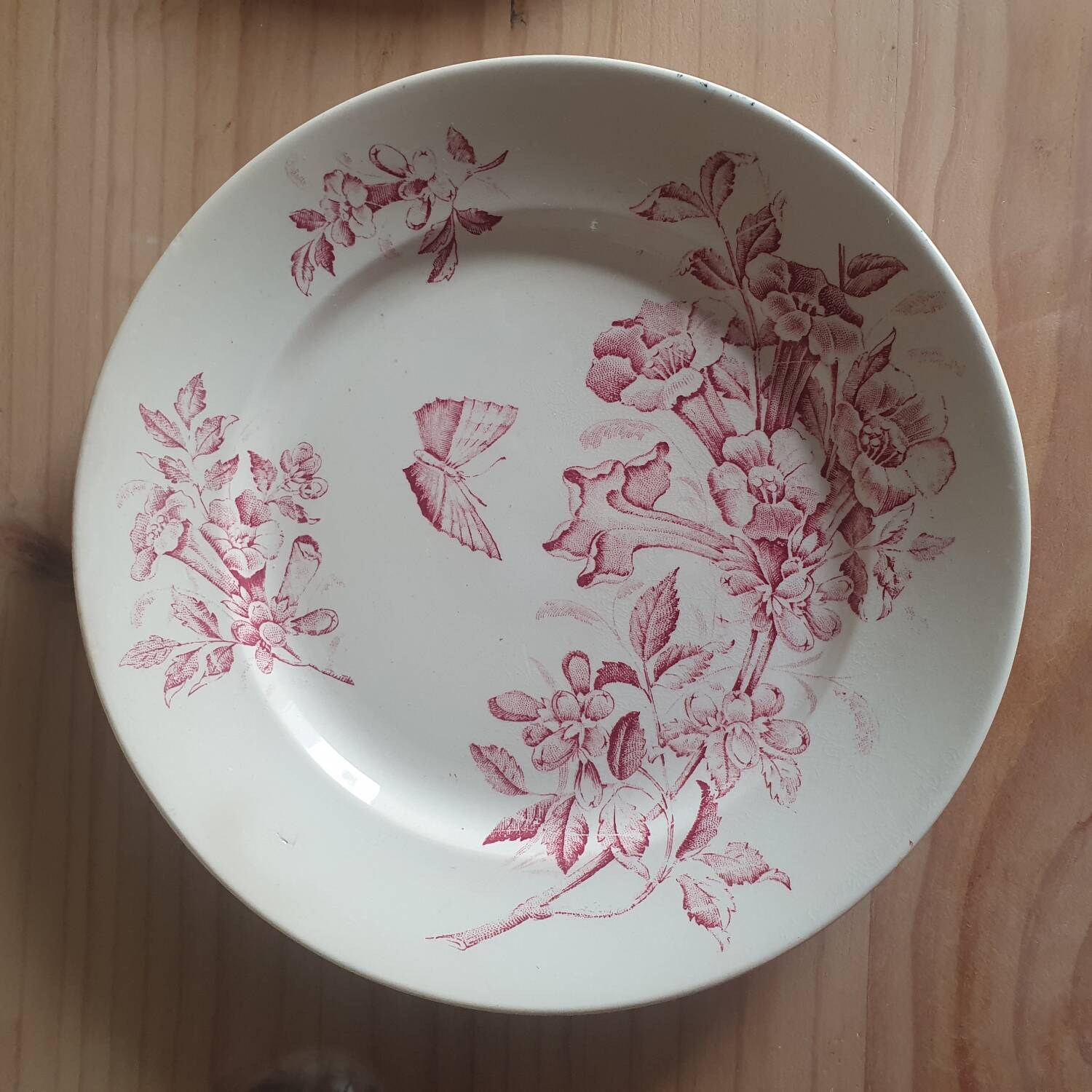 Jasmin Badonviller Plates