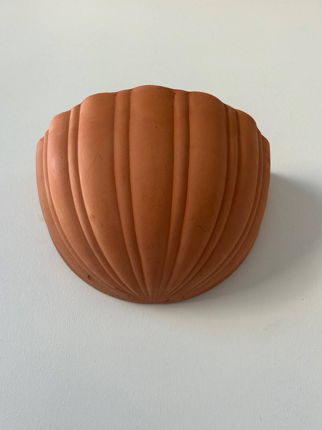 Vintage terracotta shell wall light, France 1960s