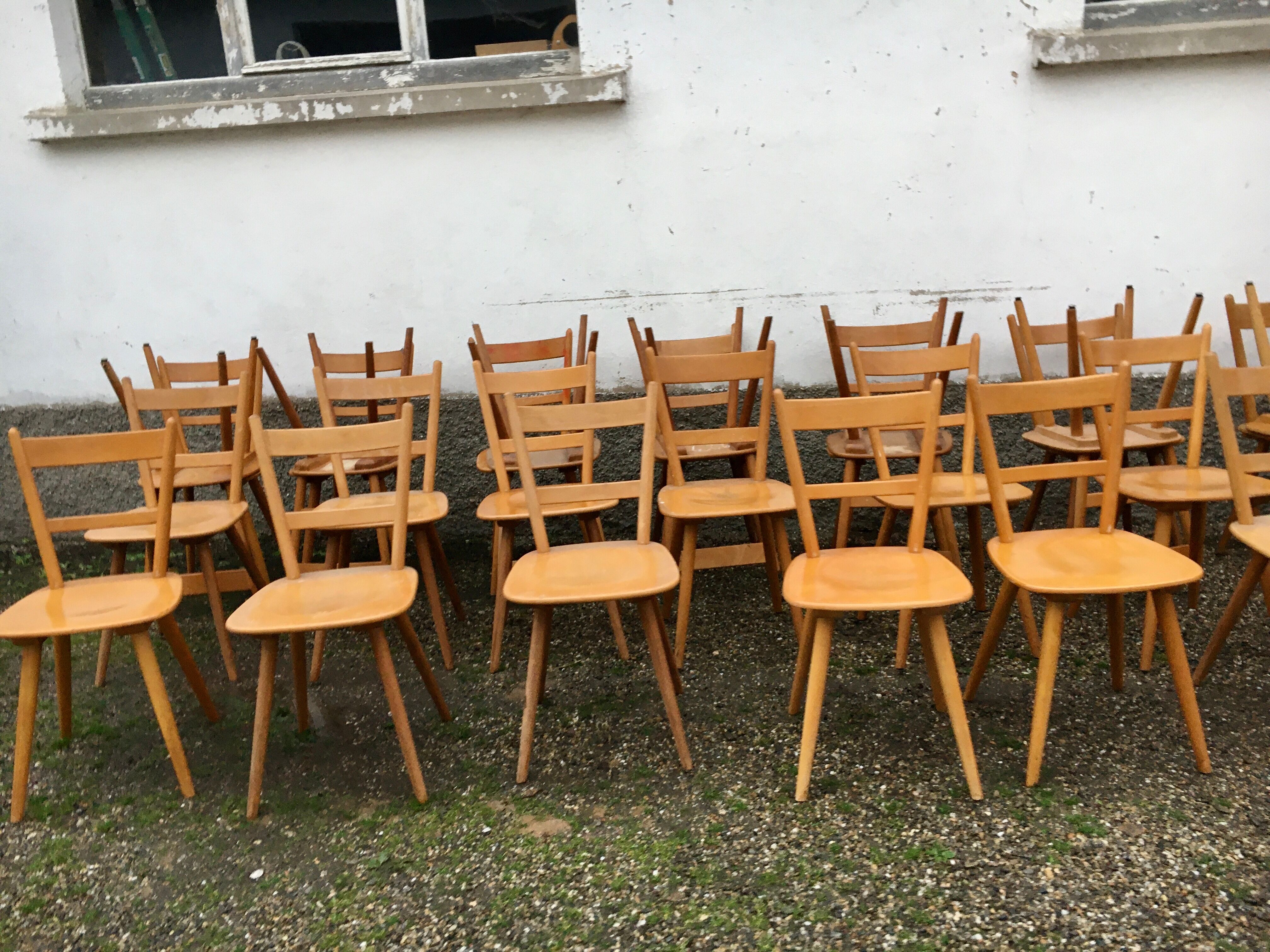 Série de 50 chaises  bistrot 1960