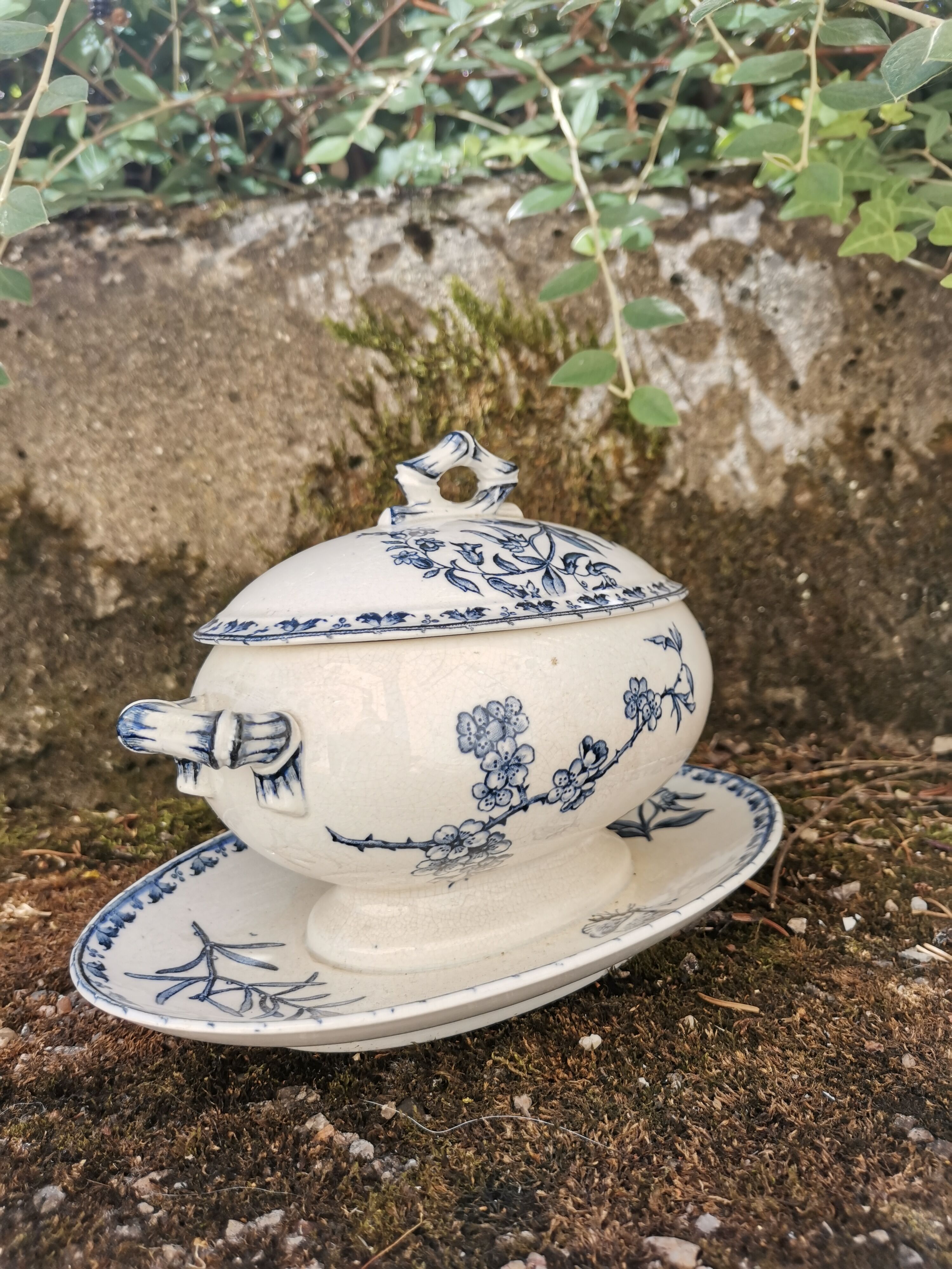 Saucière Sarreguemines Carmen