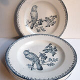 Dessert plate by Longwy model in blue