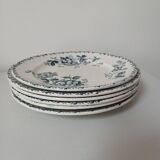 Set of 6 Terre de Fer plates, Acacia model