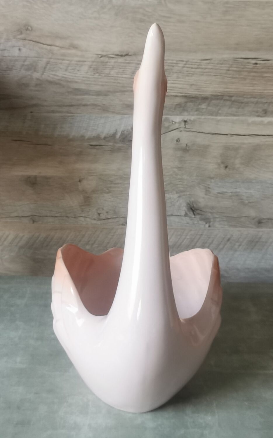 Swan Rigon Roberto Italy