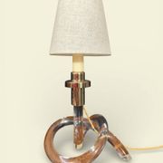 Pair of "Bretzel" lamps in lucite and brass, by Dorothy Thorpe (1901)