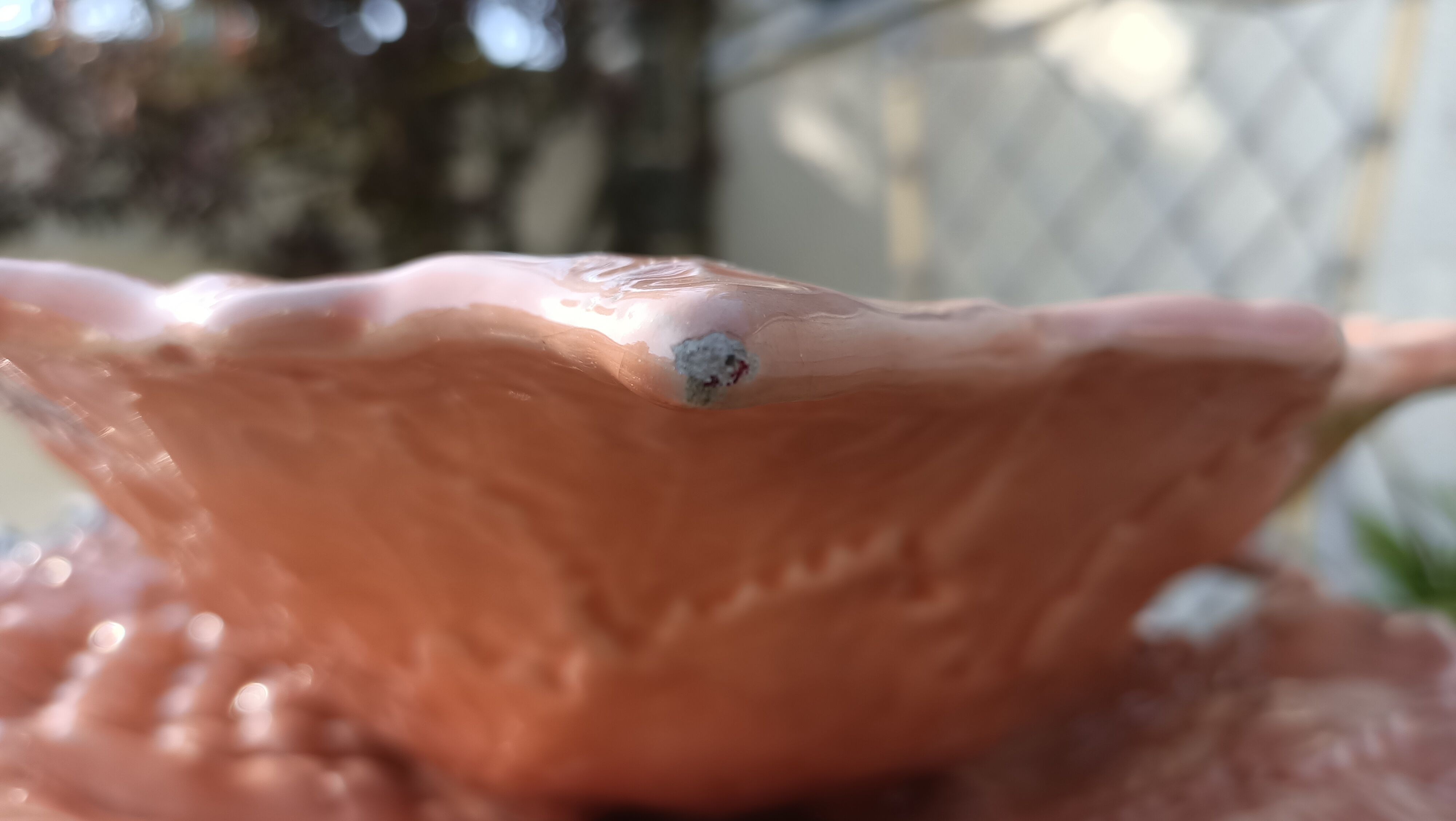 Drainer and slurry dish