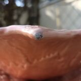 Drainer and slurry dish