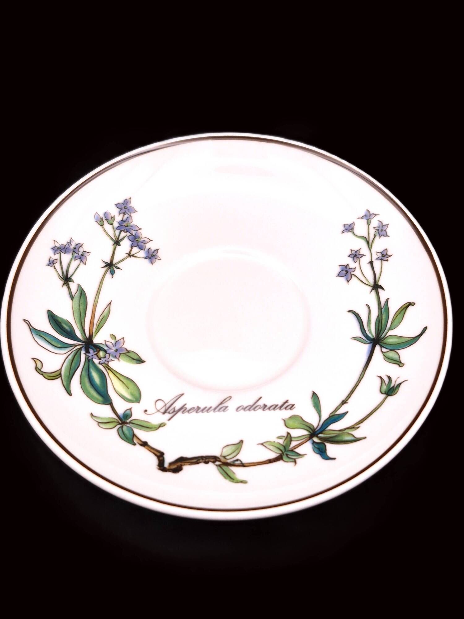 Set of 6 coffee cups and saucers Villeroy & Boch, vintage, Botanica