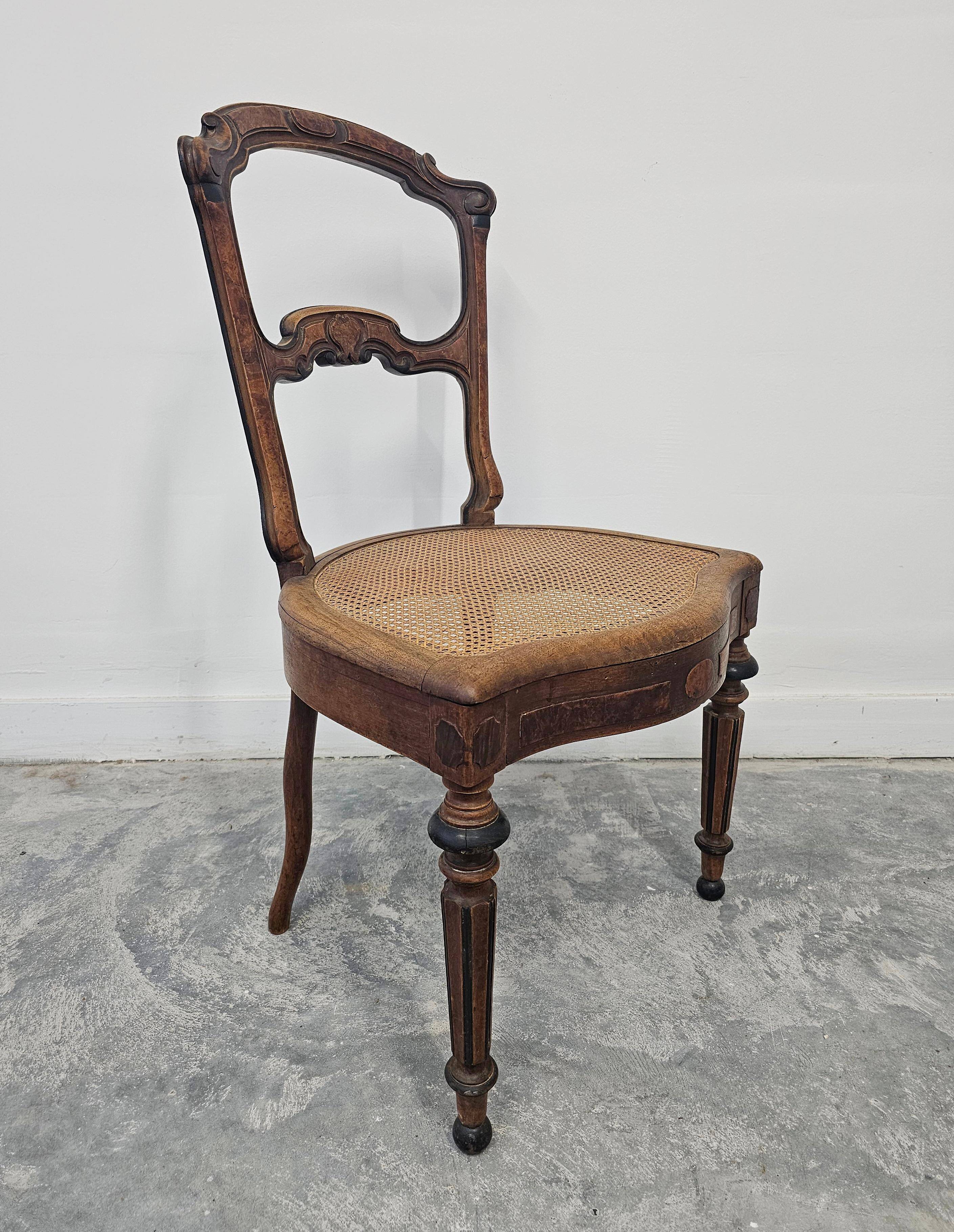 Set of 6 antique dining chairs in solid walnut, cane seats, 19th century.