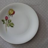 6 assiettes en porcelaine bavaroise Altesse de Vercor