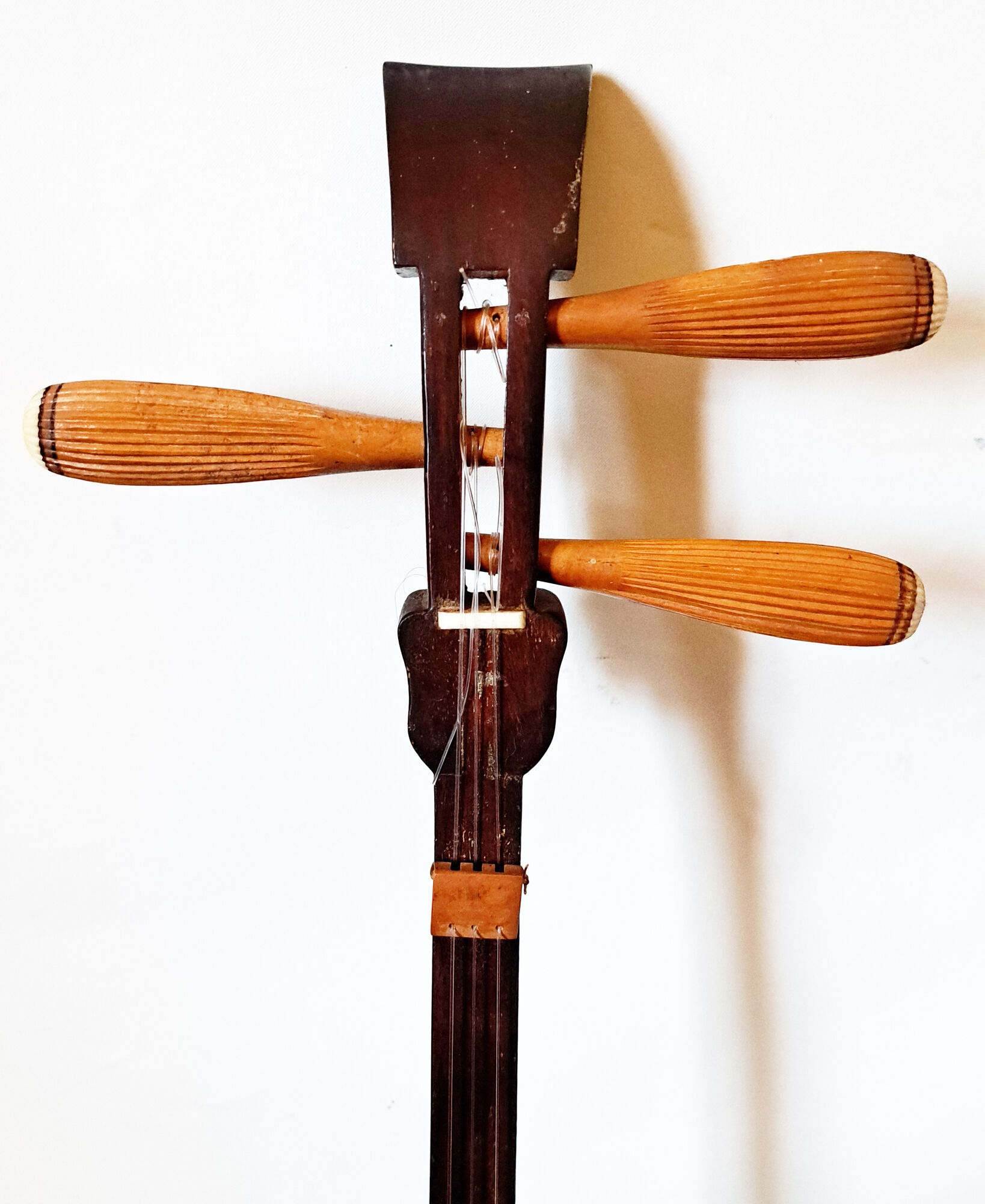 Okinawa shamisen sanshi traditional japanese instrument