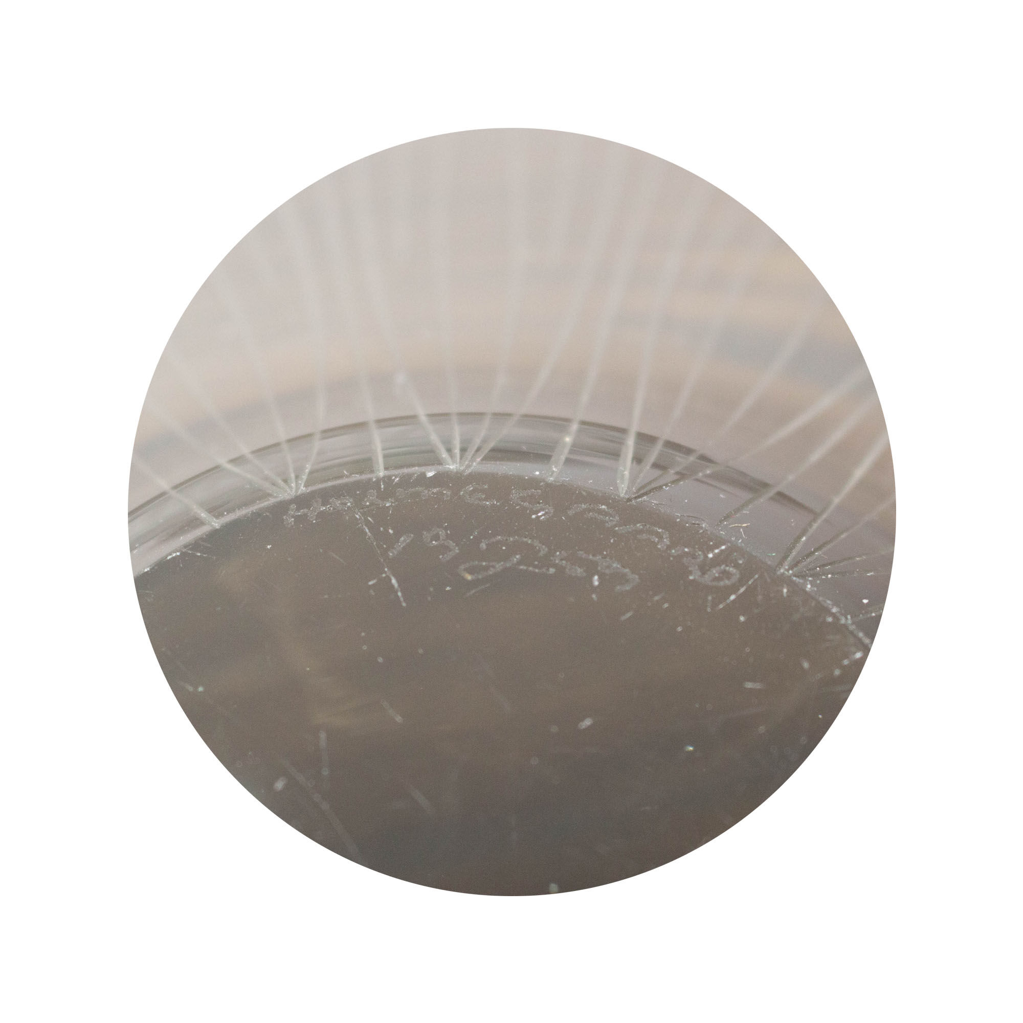 Bowl by Per Lütken for Holmegaard