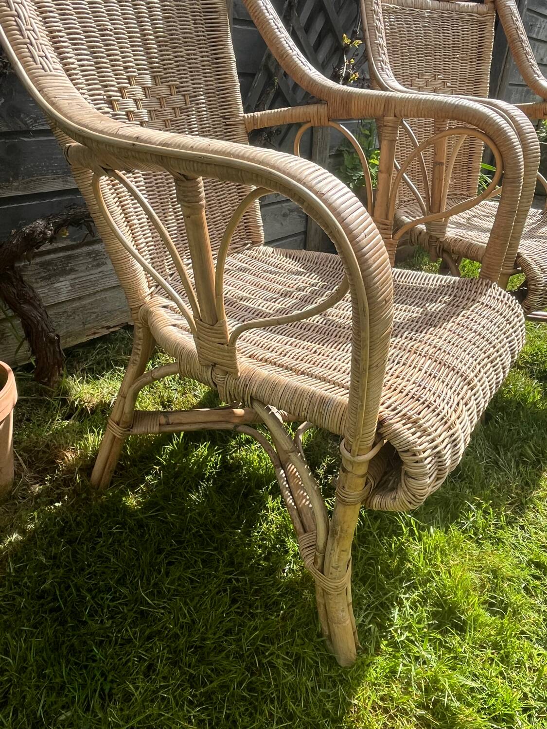 Rattan armchair duo