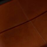 Coronado Armchair by Afra and Tobia Scarpa for B&B Italia, 1960s