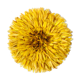 Juju hat jaune 60 cm