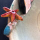 Paris ceramic dish with slip decoration, by Suzy Coste