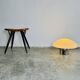 Magnolia Lamp By Sergio Mazza & Giuliana Gramigna For Quattrifolio, Italy 1970S