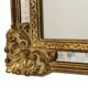 Classic Golden Deknudt Mirror Baroque Style Fumé Glass 95cm
