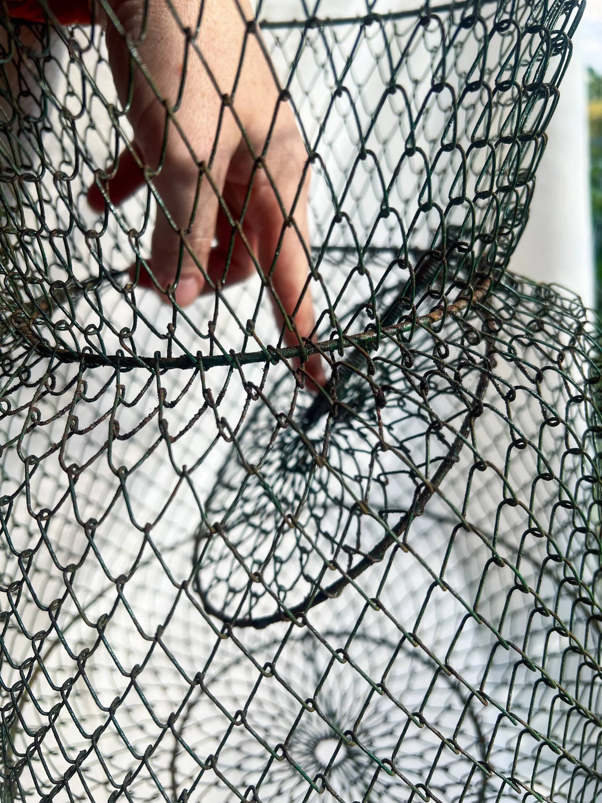 Antique French wire fishing basket
