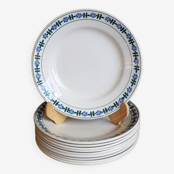 10 assiettes plates Saint Amand