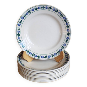10 assiettes plates Saint Amand