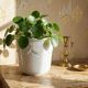 Decorative cache-pot in white faience, vintage shabby chic from Bassano, Italy.