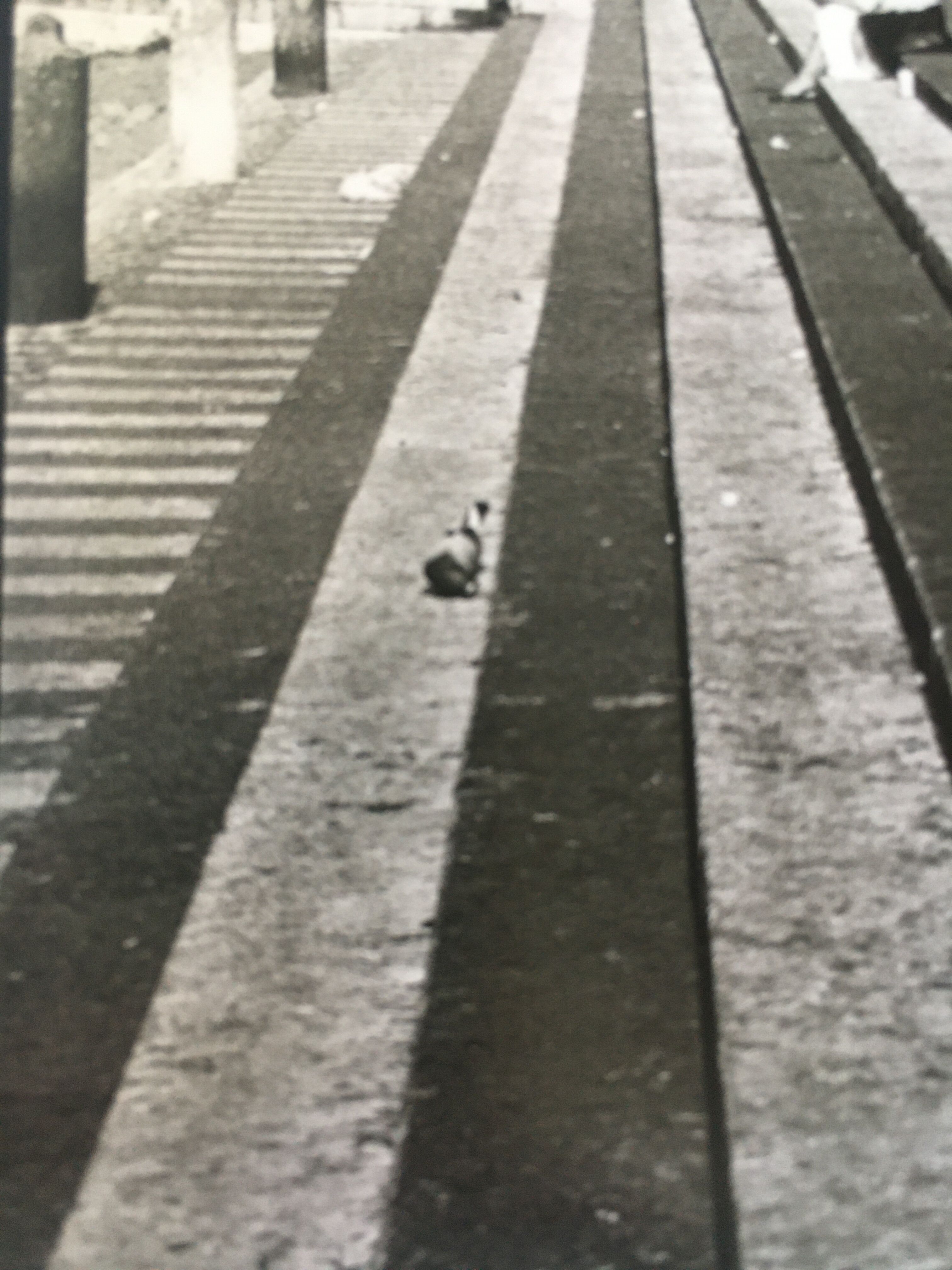 Urban graphic print, années 80