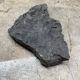 Plant fossilized plate