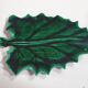 empty green ceramic pocket cup, small chips on the edges, signed