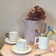 Pink pitcher