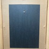 Set of 2 ornithological lithographs