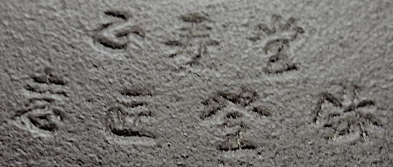 Japanese Cup cast-iron