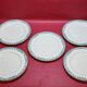 5 large flat plates guy degrenne model tuscany porcelain limoges