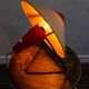 Mid Century Czech Table Lamp by Helena Frantova for Okolo, 1950s