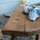 Peestal table and 2 tripod stools