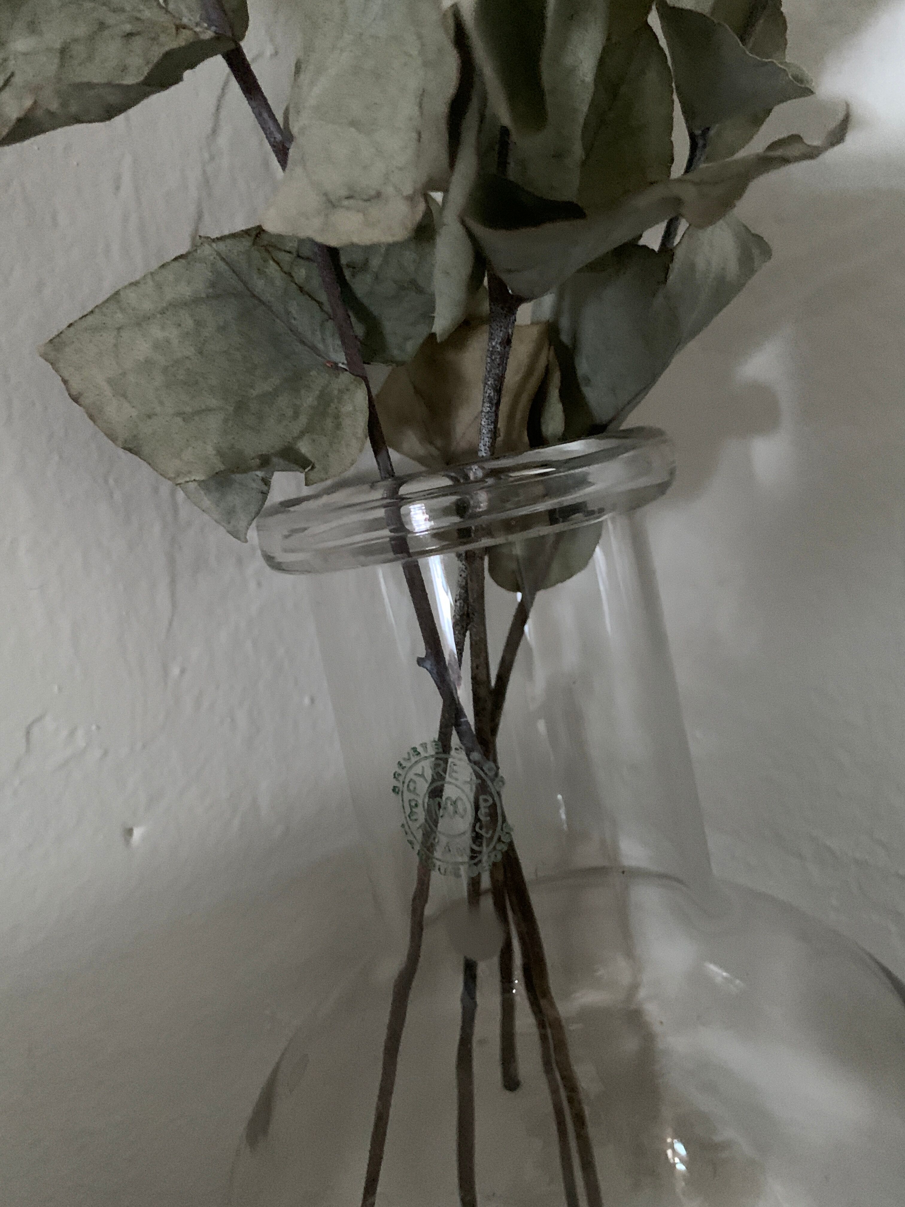 Vase vintage de laboratoire