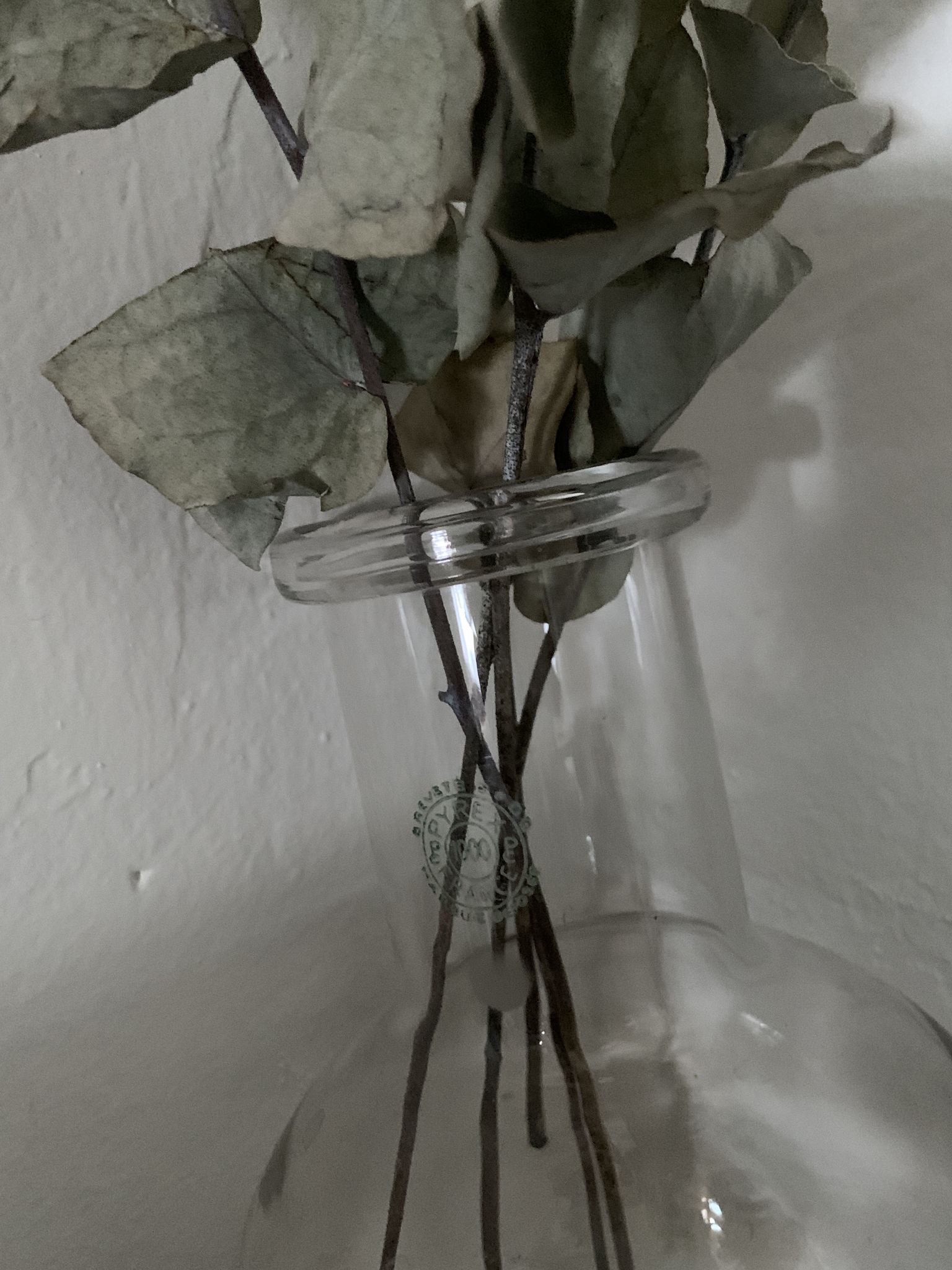 Vase vintage de laboratoire