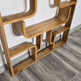 Room Divider by Ludvik Volak for Drevopodnik Holesov, 1950s