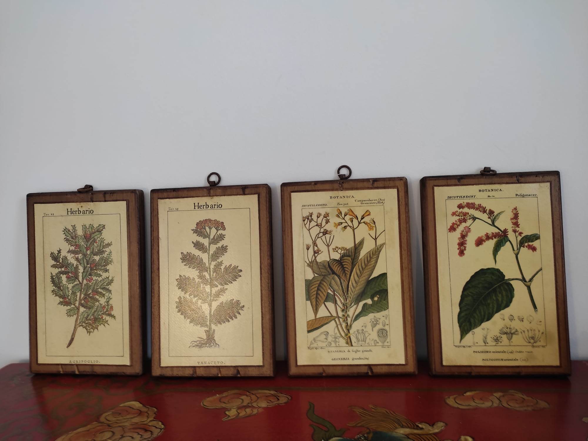 Set of 4 botanical boards with wooden frames
