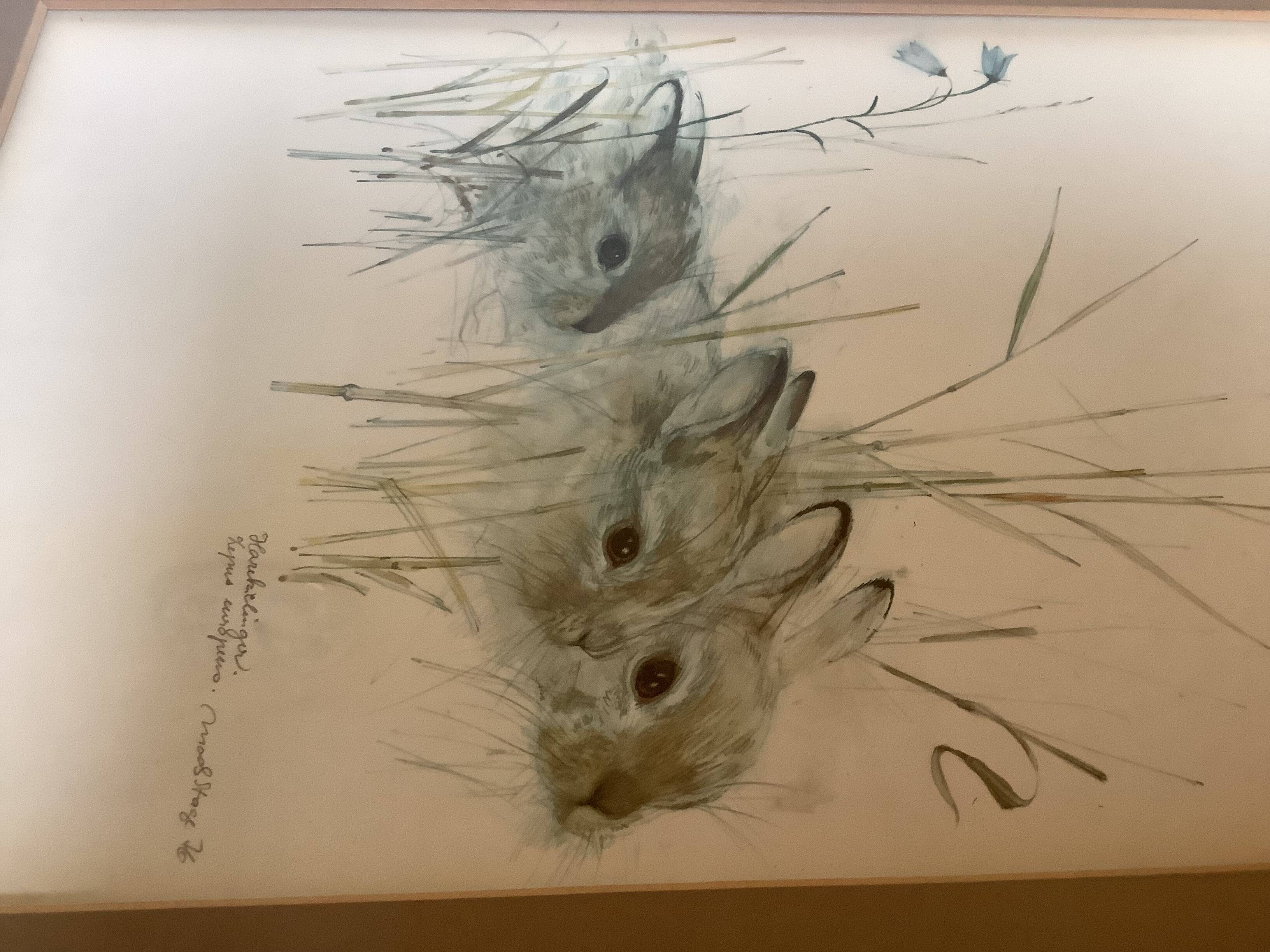 Grand cadre avec des lapins dans la nature
