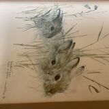 Large frame with rabbits in nature