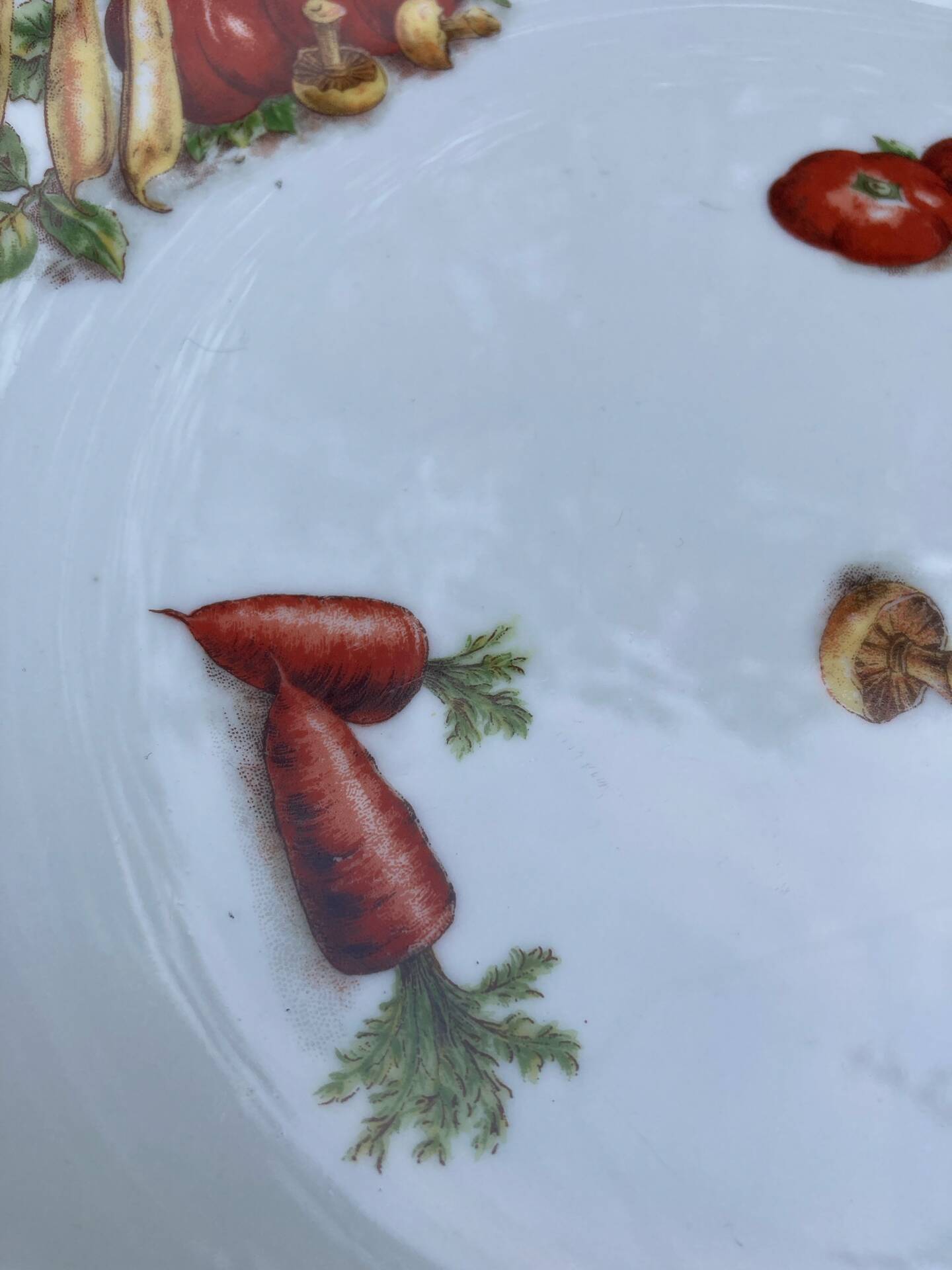 Plat maraîcher gravures botaniques d’antan