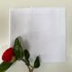 Set of 2 monogram napkins BG and GJ
