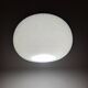Globe vintage sothis murano